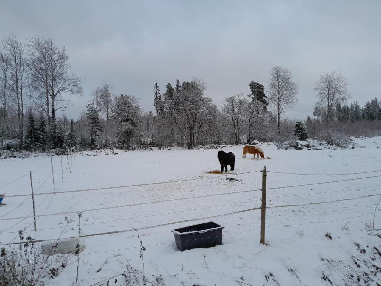 Lotta'S Cottage Rimbo Zewnętrze zdjęcie