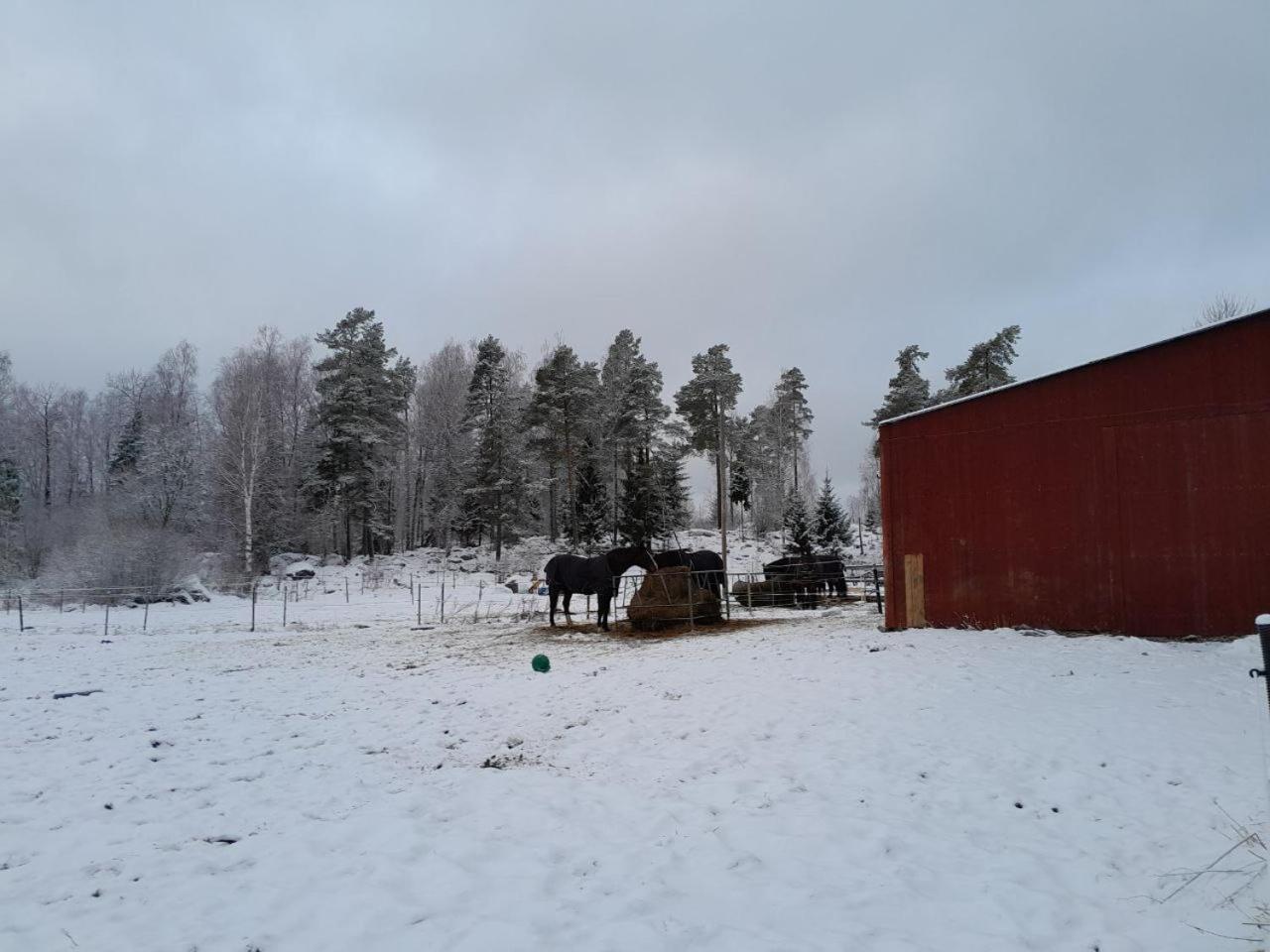 Lotta'S Cottage Rimbo Zewnętrze zdjęcie