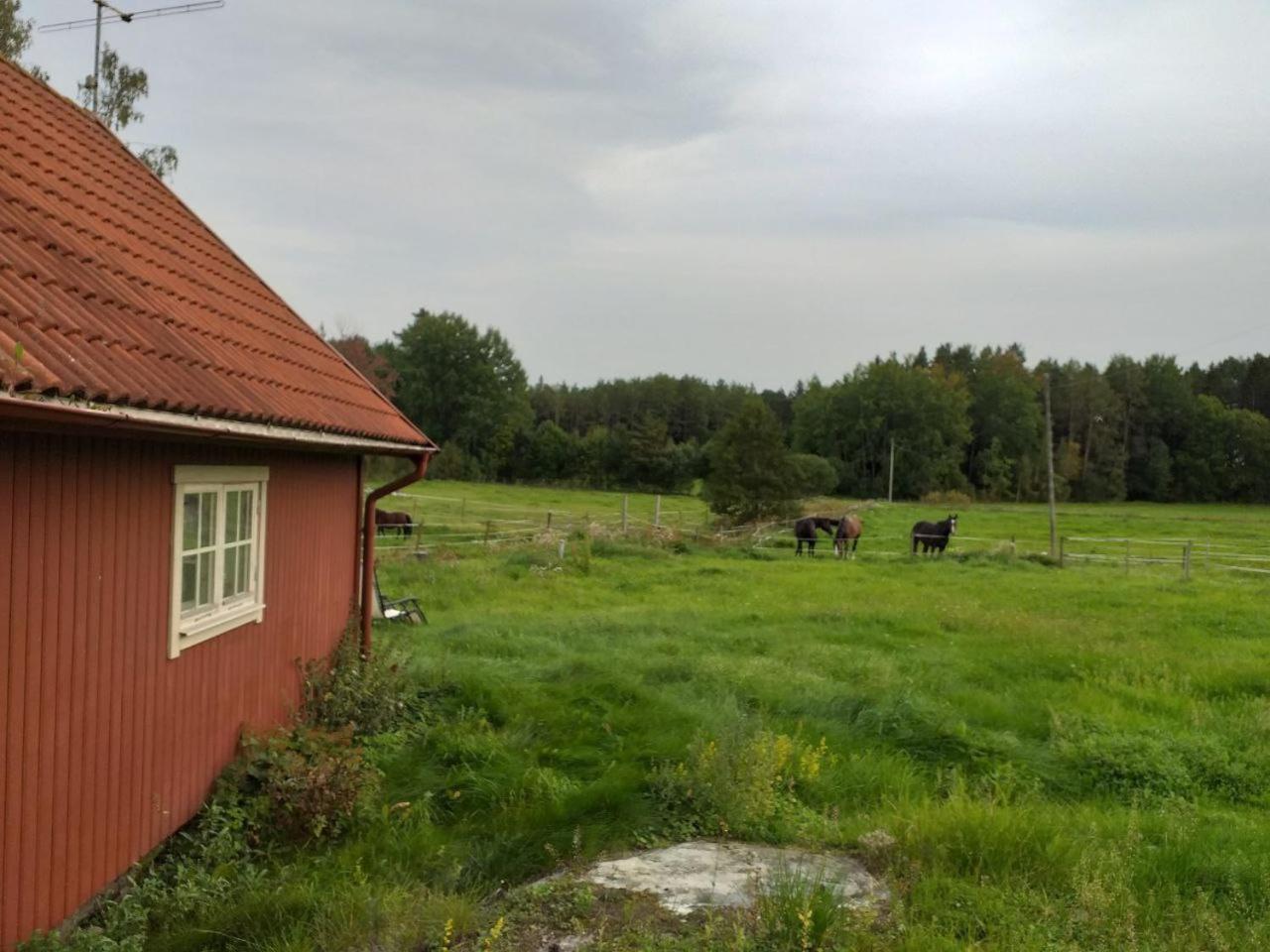 Lotta'S Cottage Rimbo Zewnętrze zdjęcie